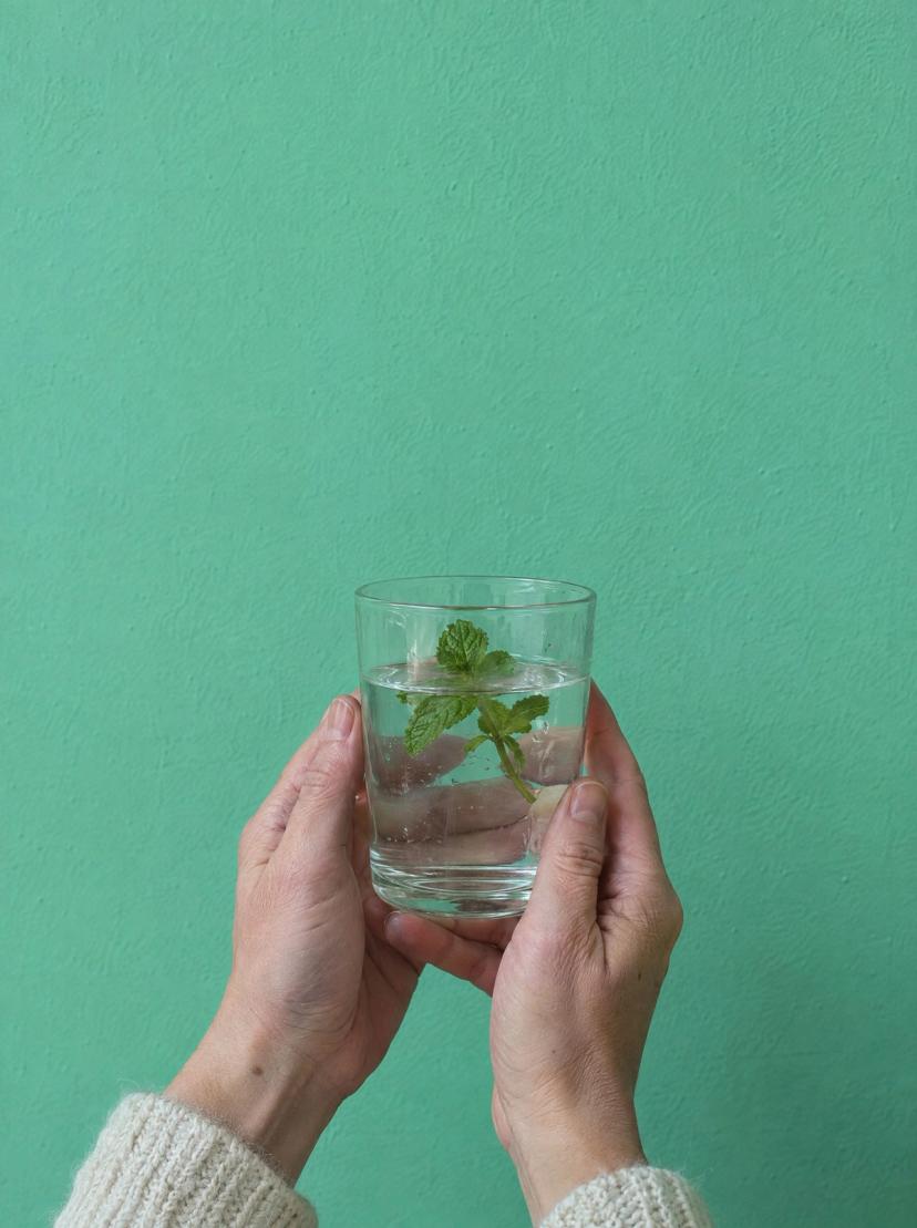 Manos que sostienen un vaso de agua con menta