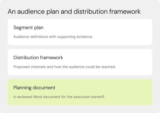 An audience plan and distribution framework. Segment plan. Distribution framework. Planning document.