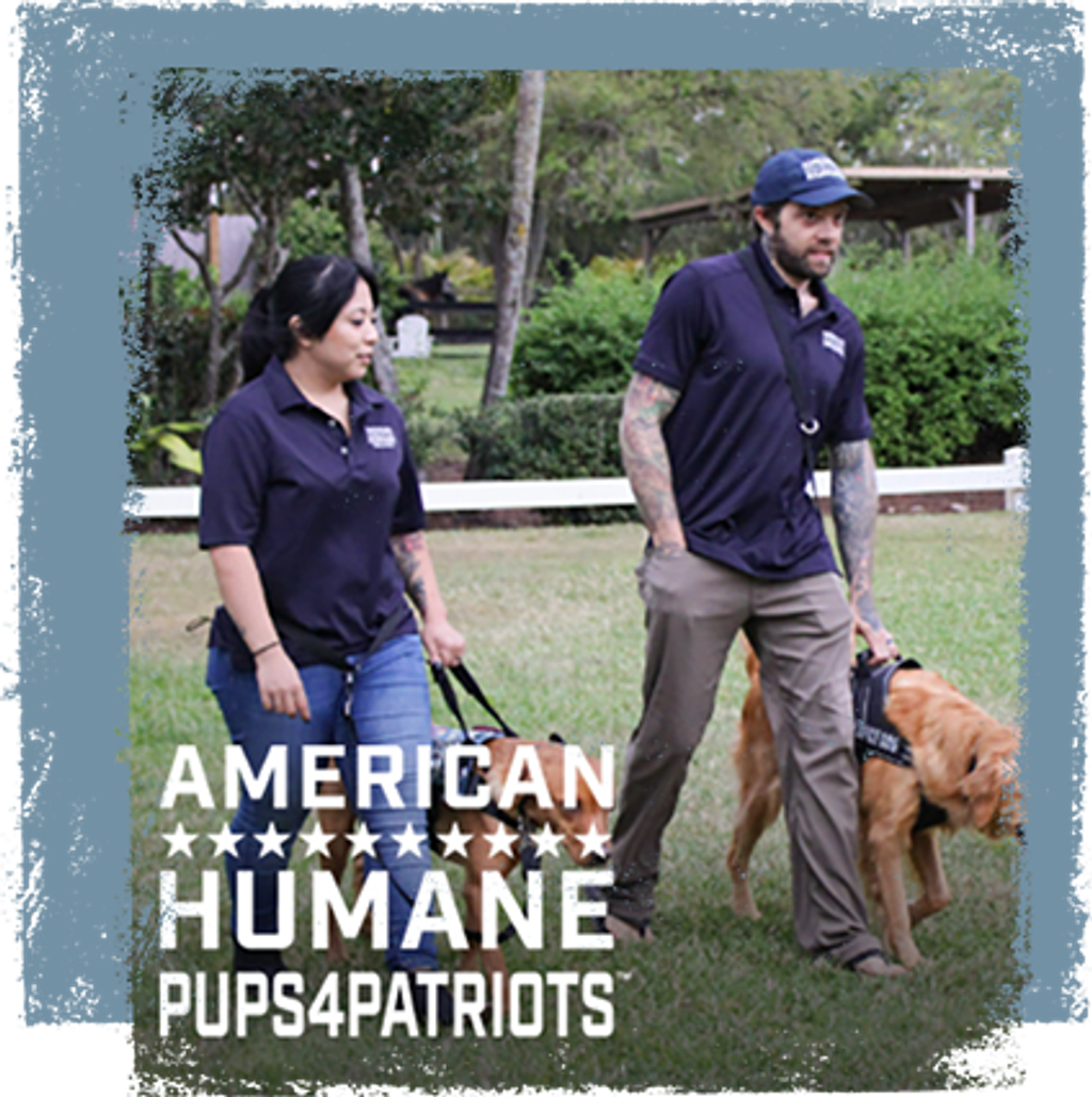 American Humane Society - Pups4Patriots