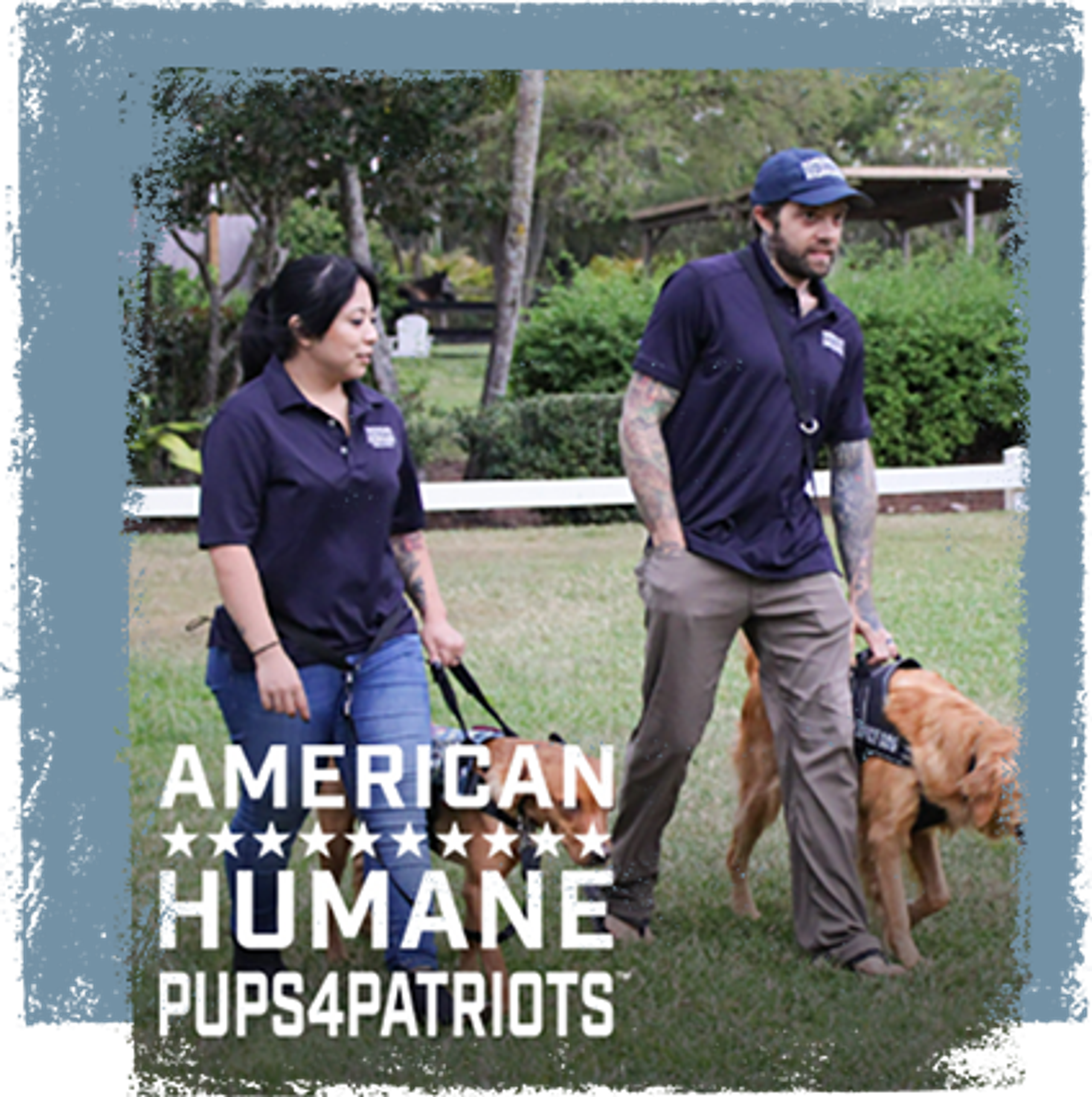 American Humane Society - Pups4Patriots