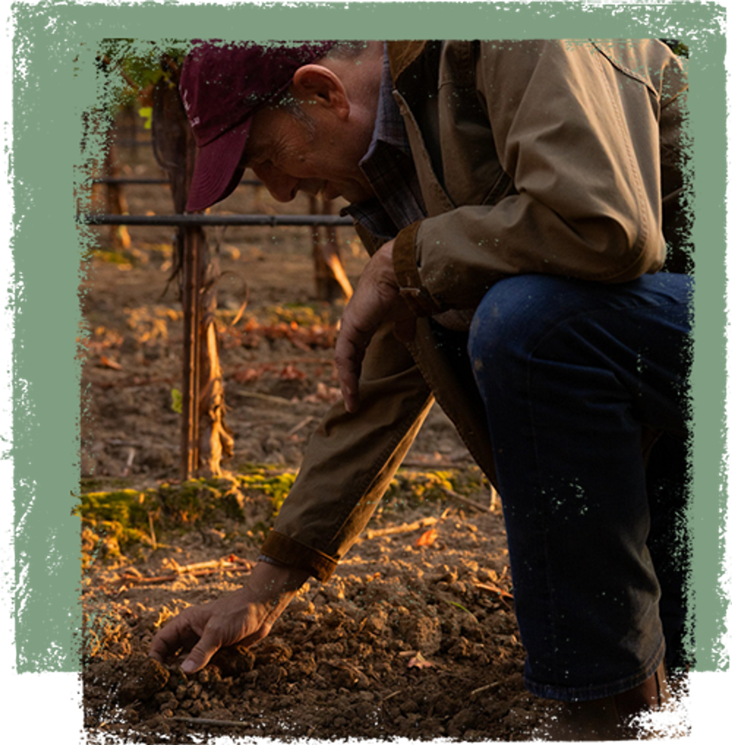 Joseph Carr inspecting vineyard soil