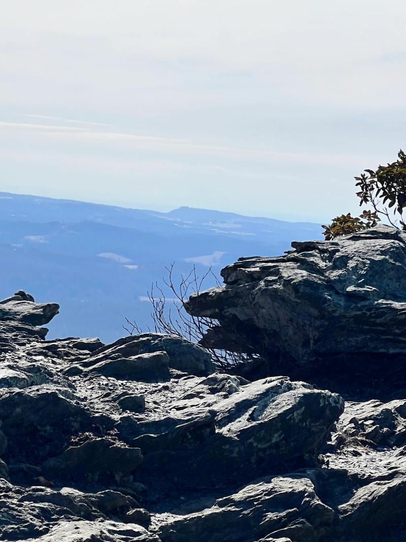 Buffalo Mountain