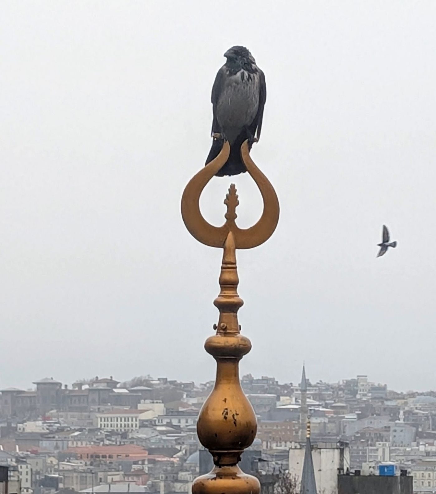 Istanbul - A Study in Contradiction