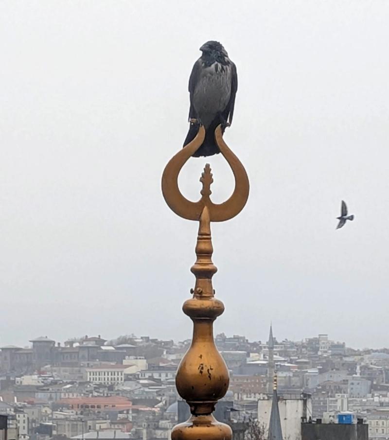 Istanbul - A Study in Contradiction