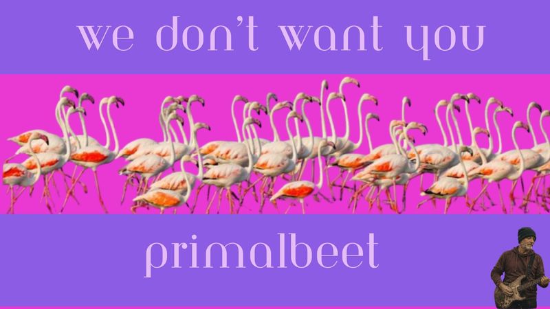We Don't Want You