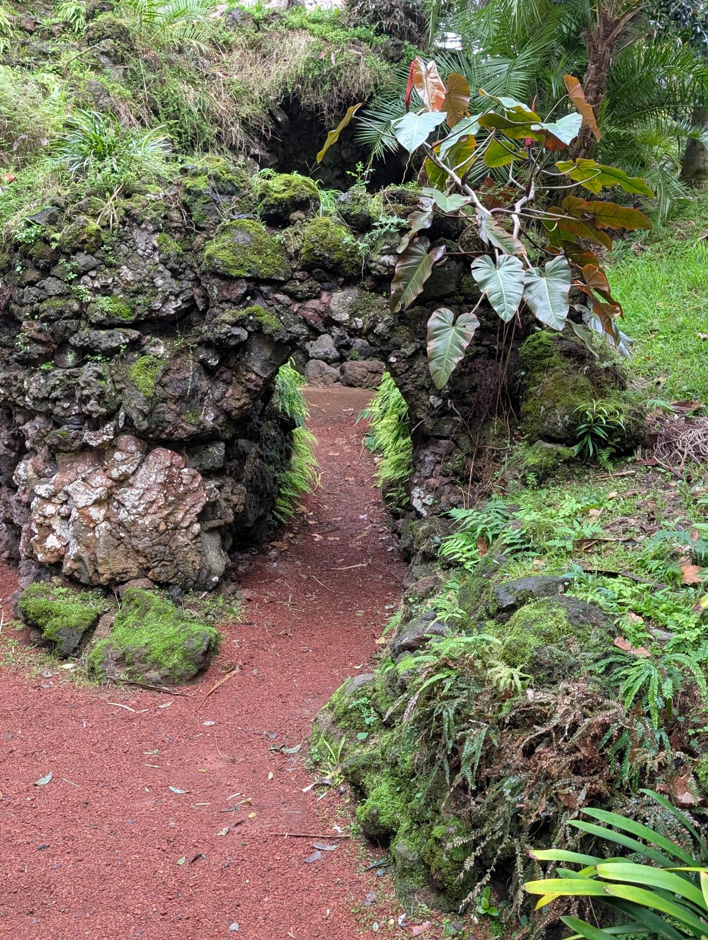 On Leaving Sao Miguel