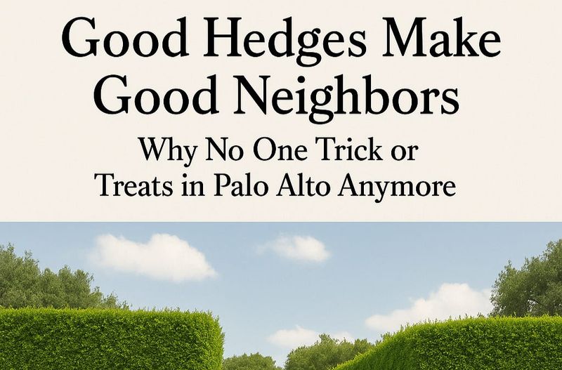 Good Hedges Make Good Neighbors