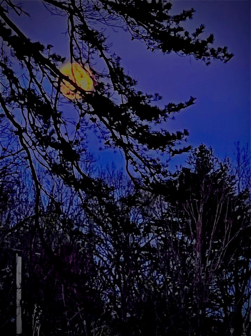 NightLight