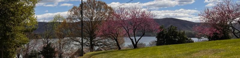 Spring