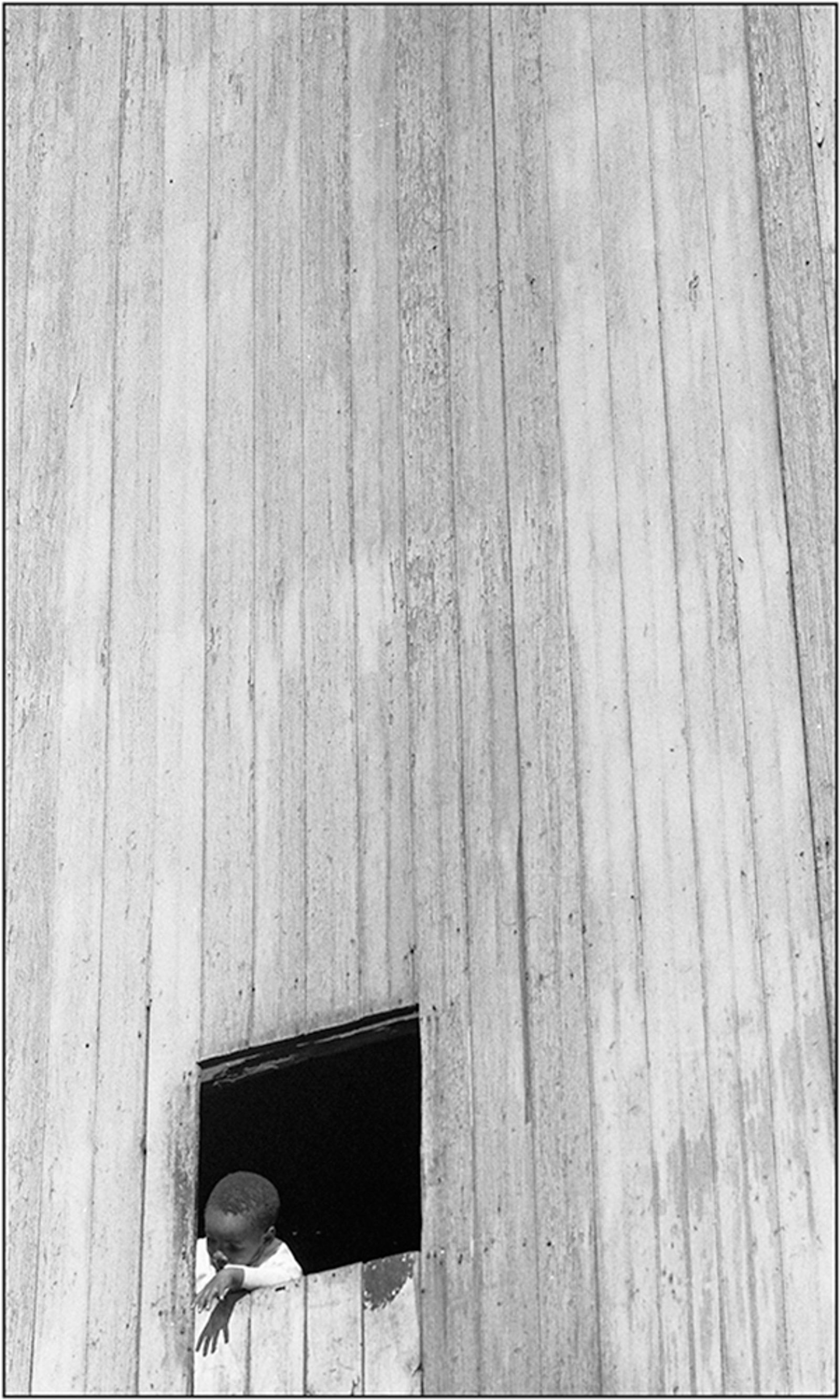 Boy in the Window