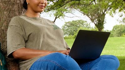 The Yi – Spirit of Intelligence