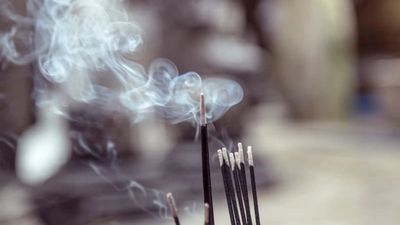 Fortify Your Defenses: 5 Time-Tested Strategies from Classical Chinese Medicine to Prevent Illness