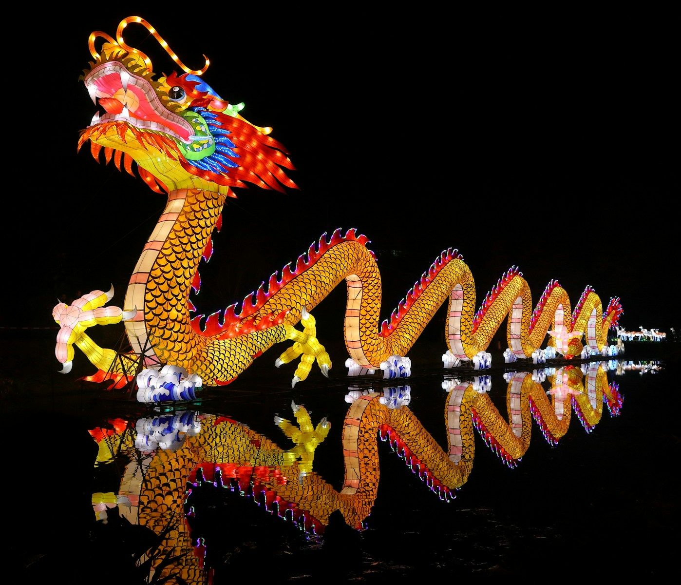 Year of the Dragon