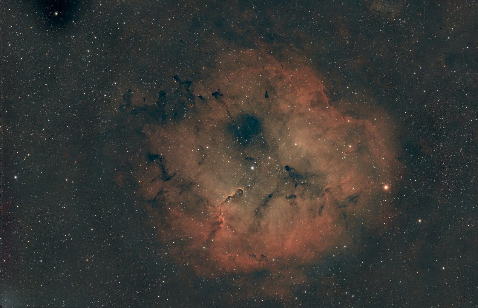 The Po: The Body’s Soul in Chinese Medicine