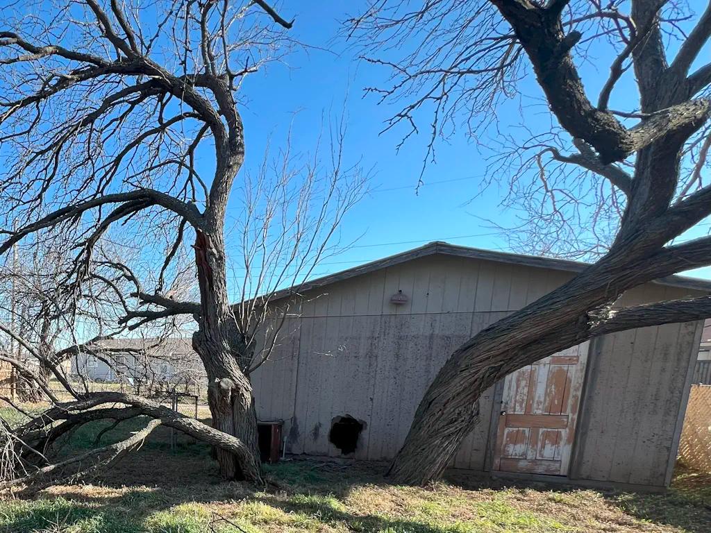 Old rundown house with large tree