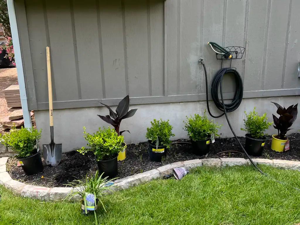 Flower bed with plants and shovel