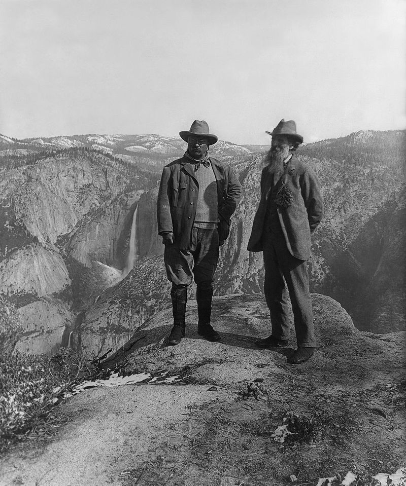 John Muir and Theodore Roosevelt standing on a scenic overlook in the wilderness