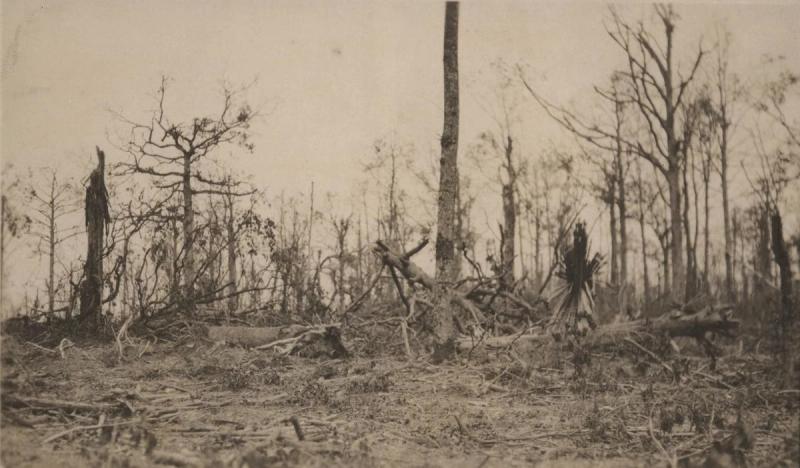 Belleau Wood aftermath, 1918