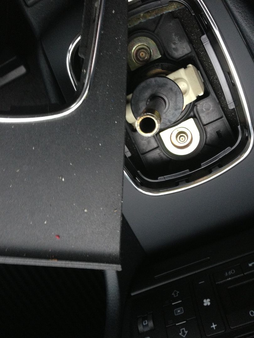 Door pulls and shifter surround (16)