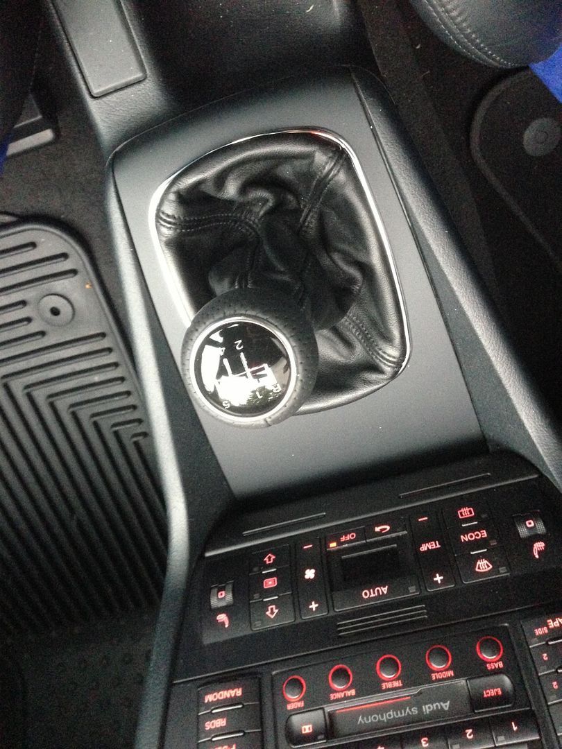Door pulls and shifter surround (17)