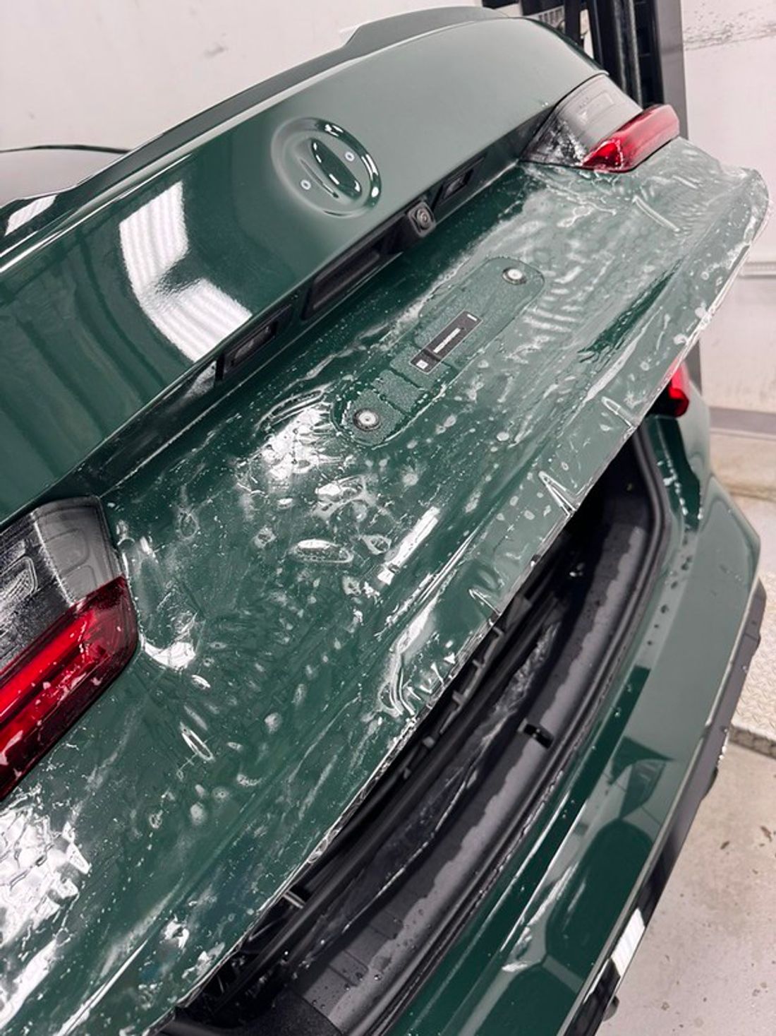 M3 · Trunk