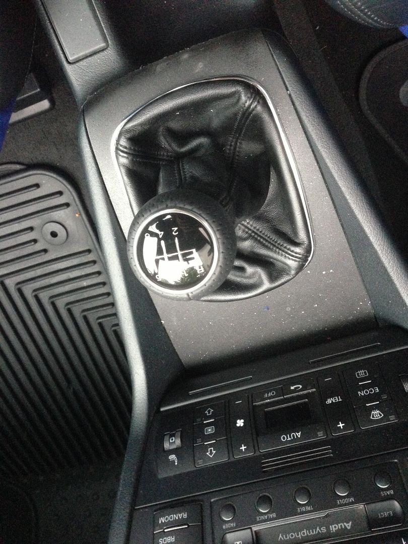 Door pulls and shifter surround (10)