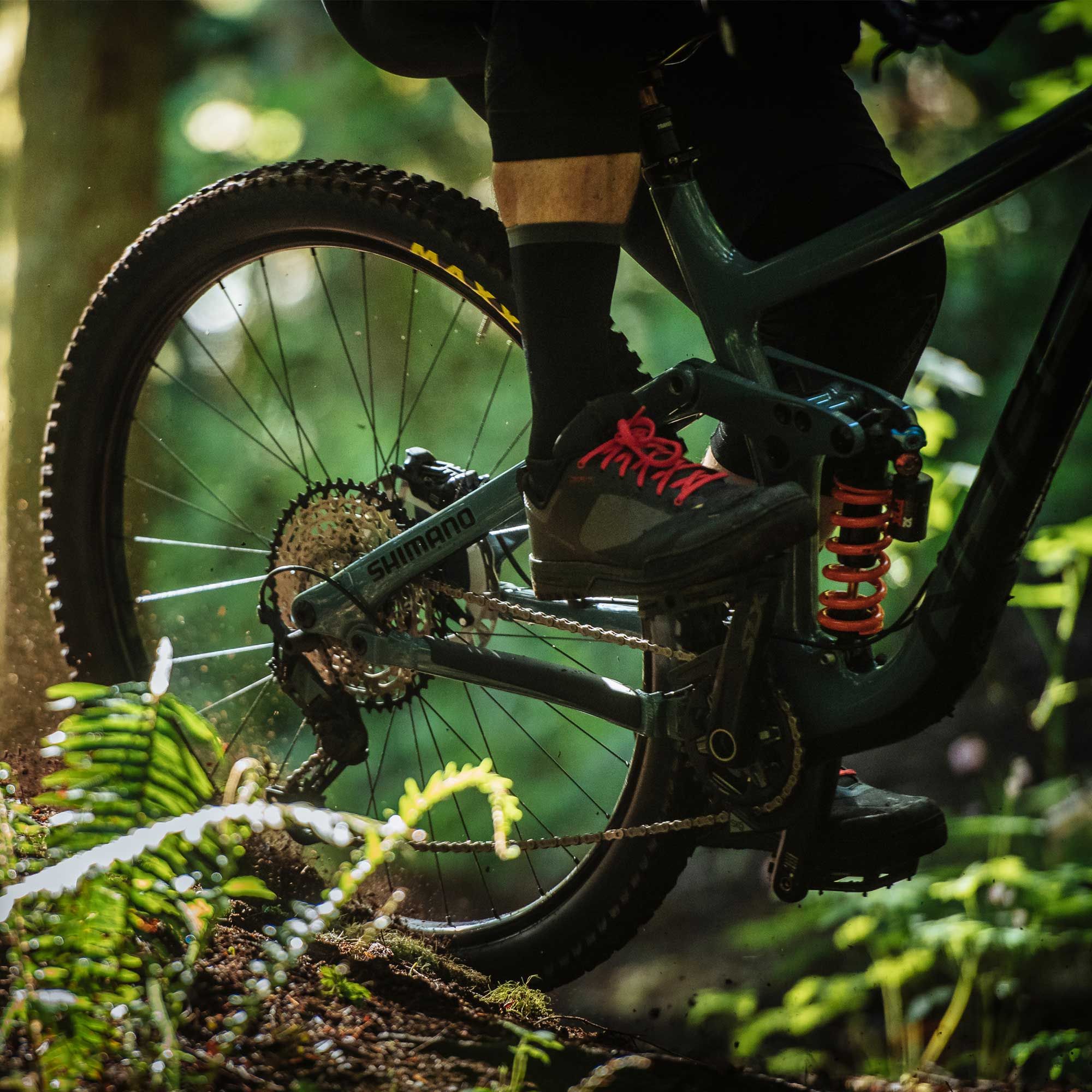 GR7 MTB Shoes