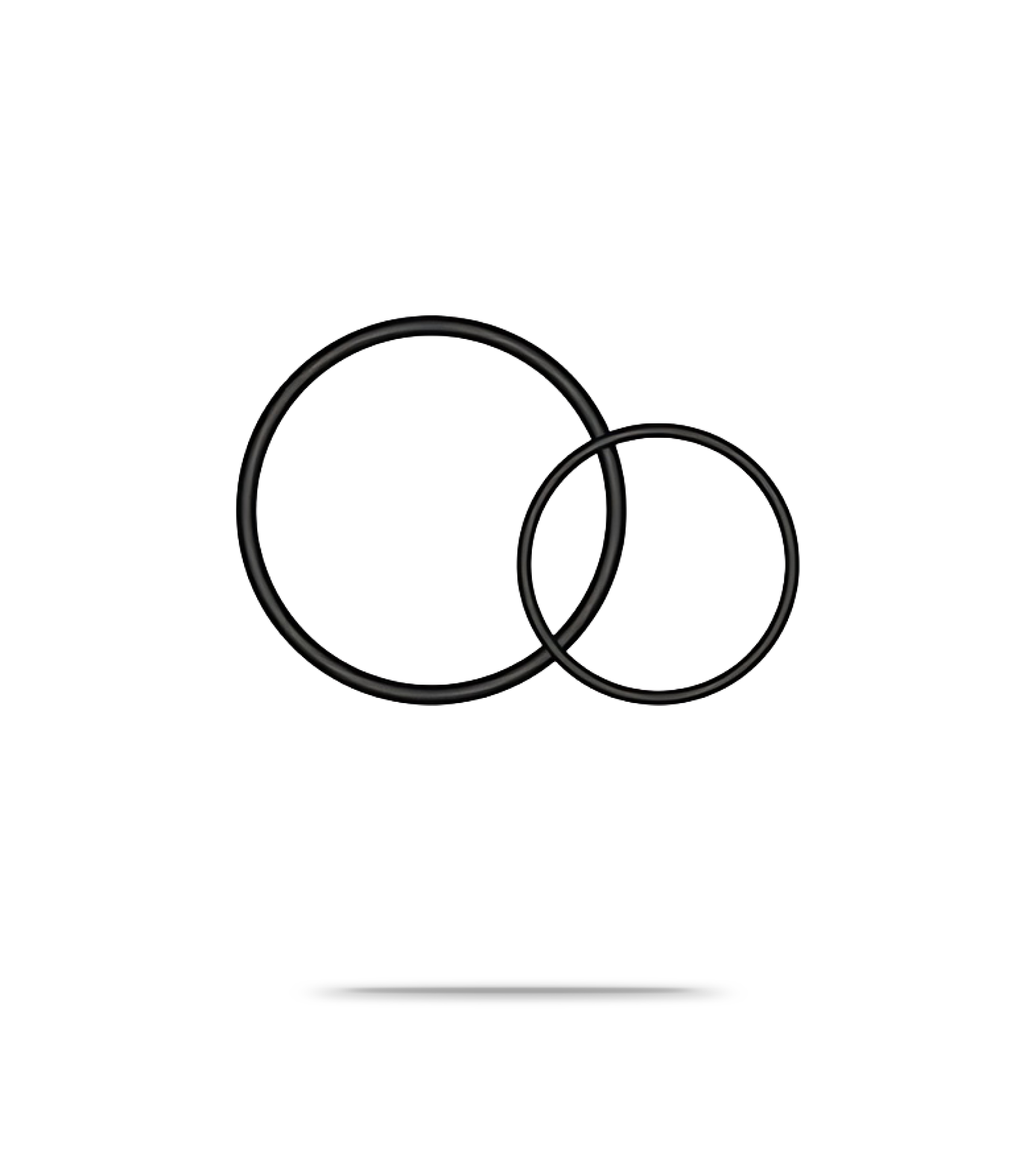 Varia Universal Seat-Post Quarter Turn Mount O-Rings