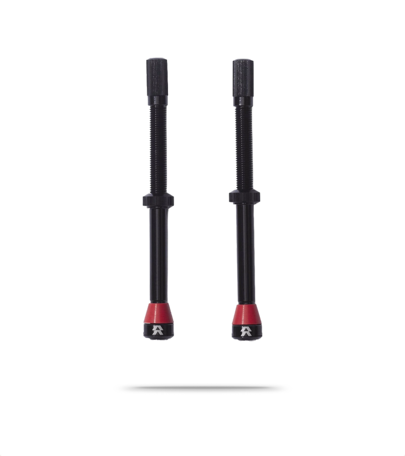 Fillmore Tubeless Valve Kit