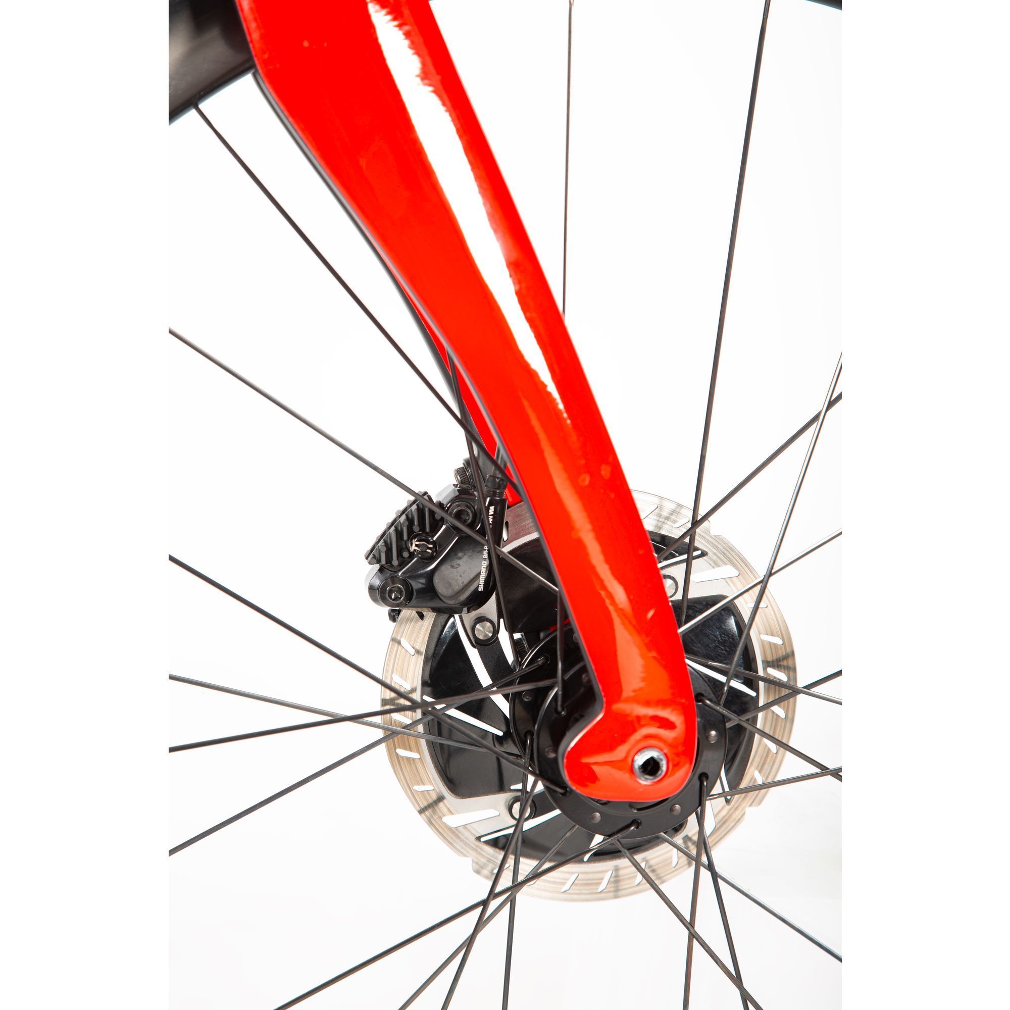 Dogma F12 Custom Build 59.5cm - Approved Used