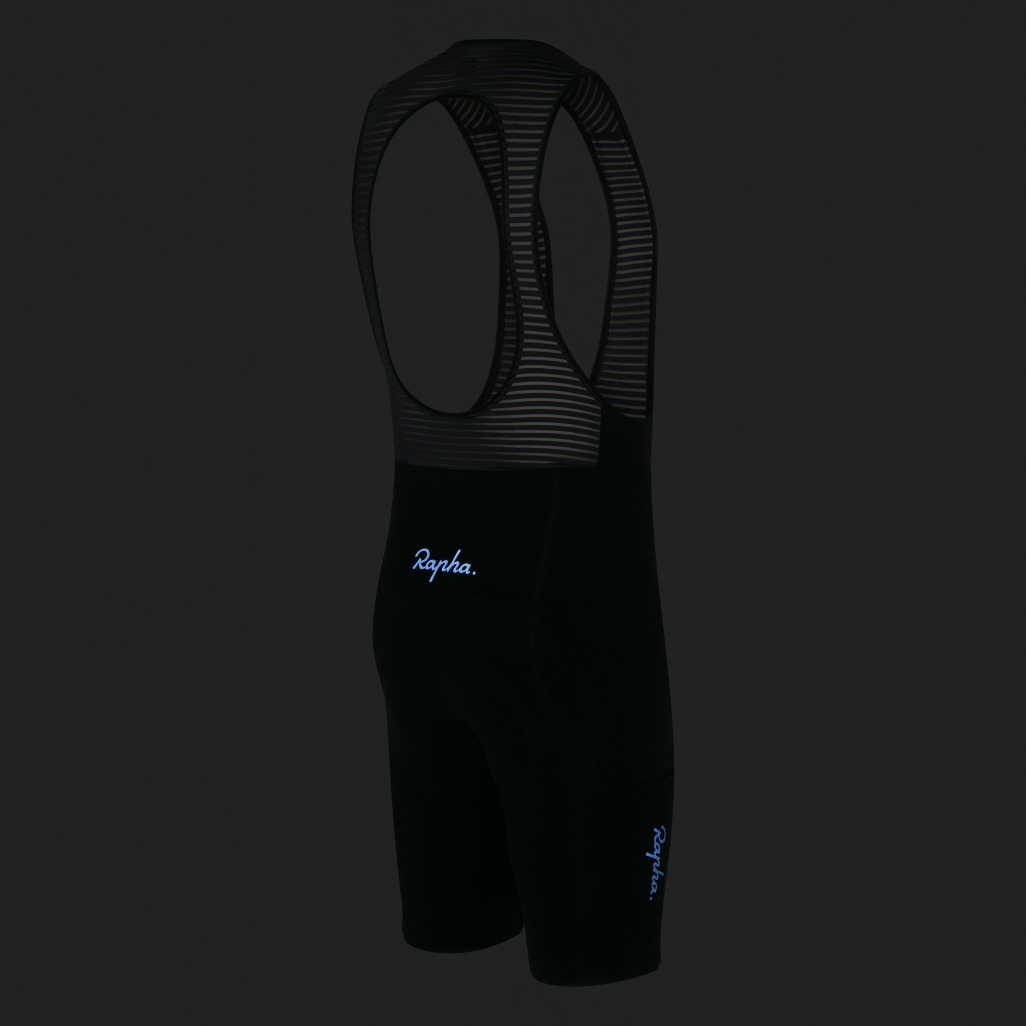 Cargo Bib Shorts