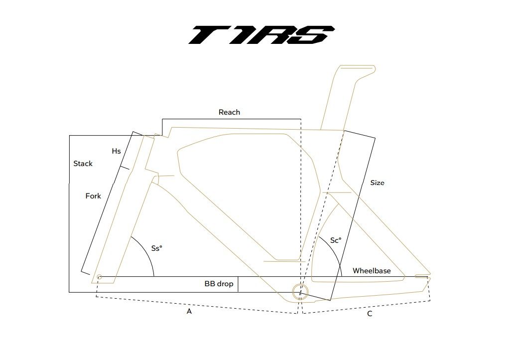 Colnago T1RS