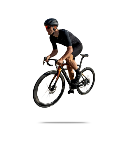 Dogma F Frameset 2026
