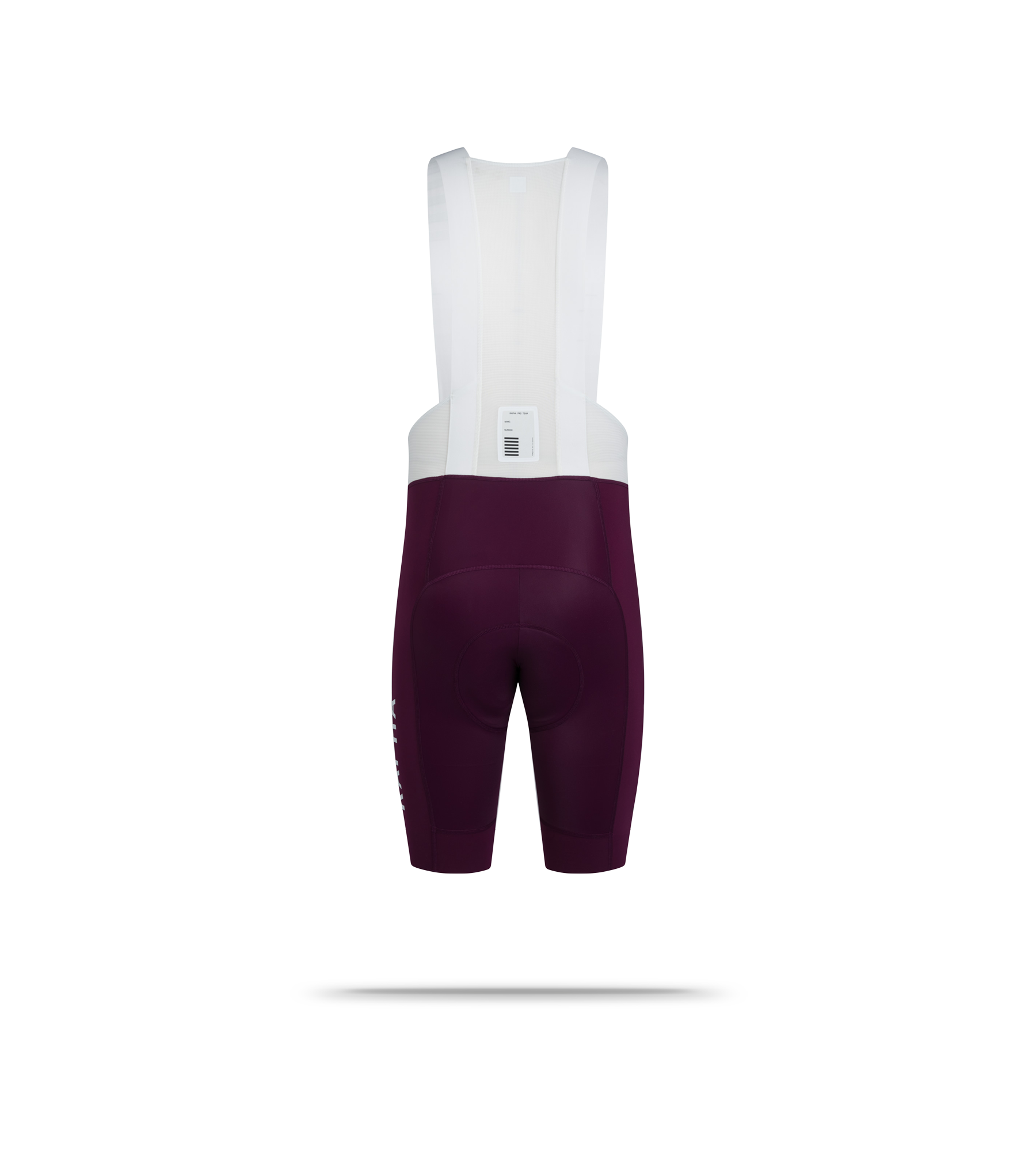 Pro Team Men's Cycling Bib Shorts III - Regular