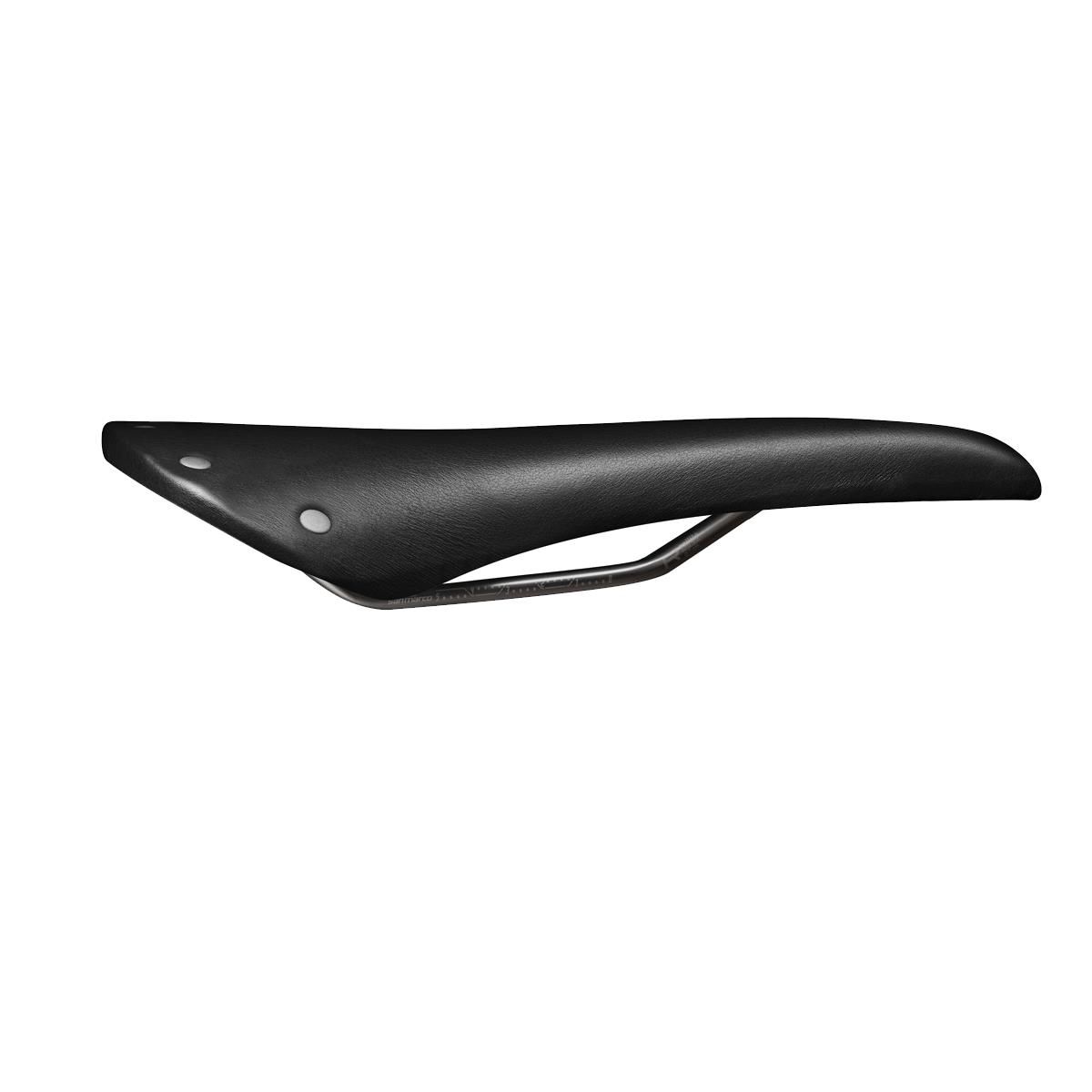 Regal Evo Saddle