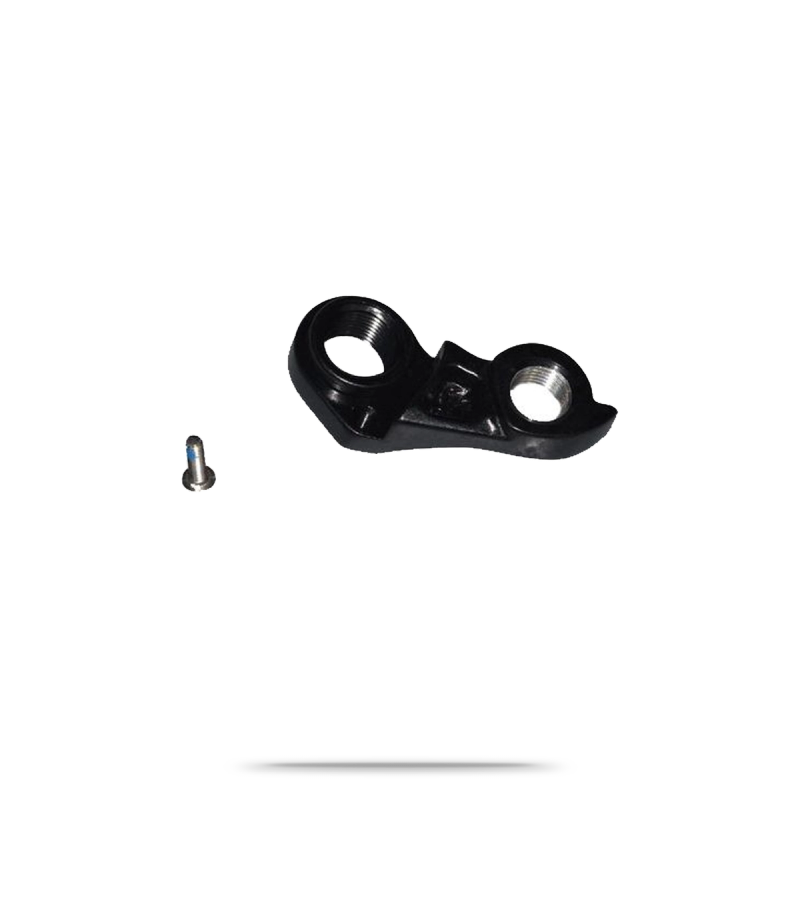 Derailleur Hanger TA ST SS 070