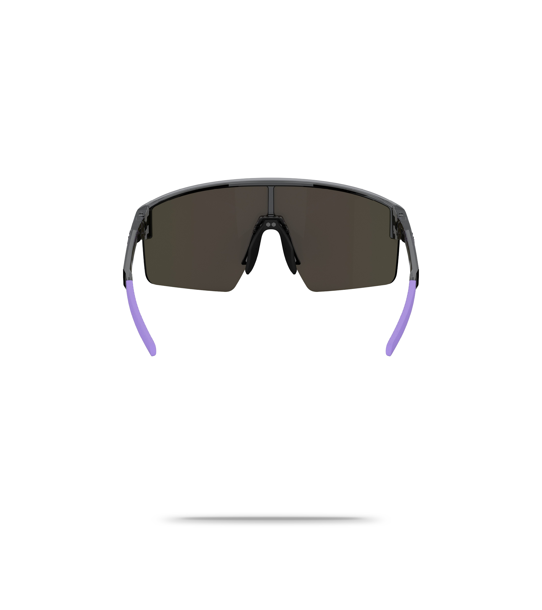 P004S Sunglasses