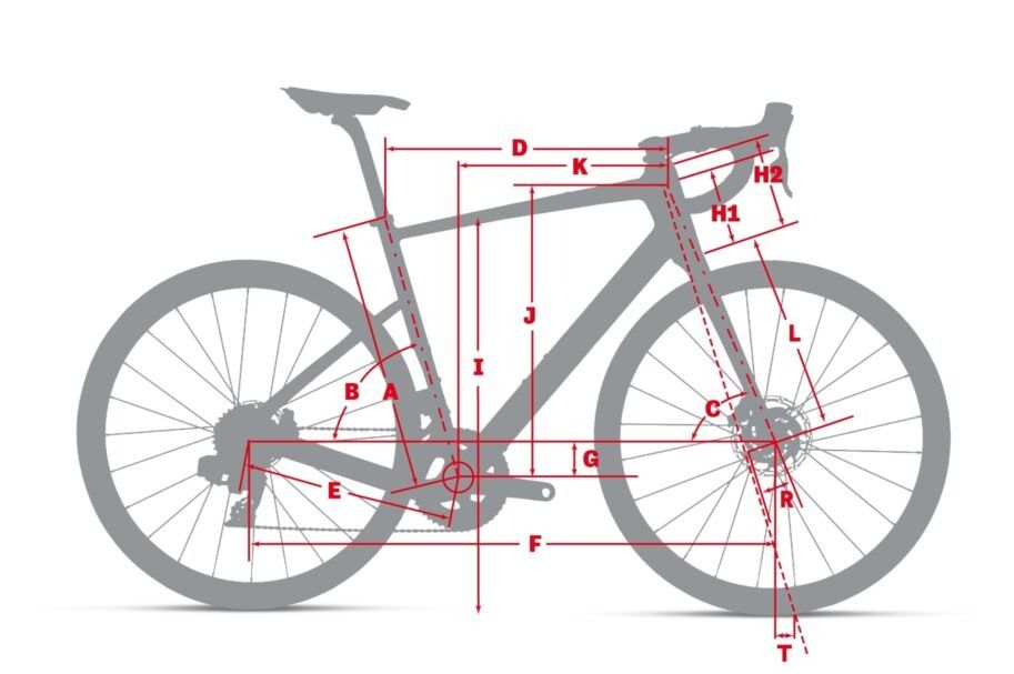 Argon 18 Equation