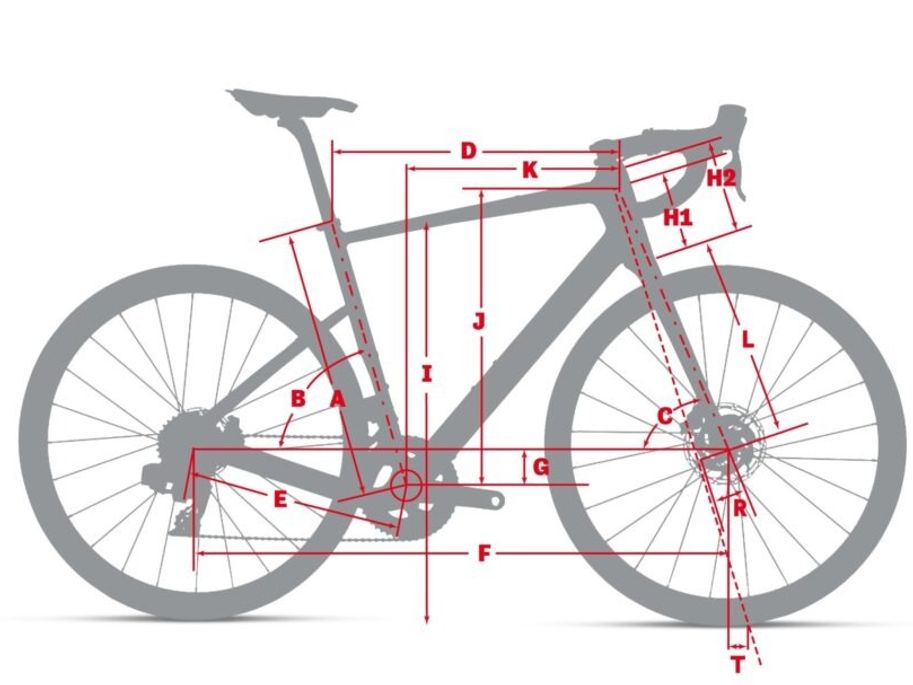 Argon 18 Equation