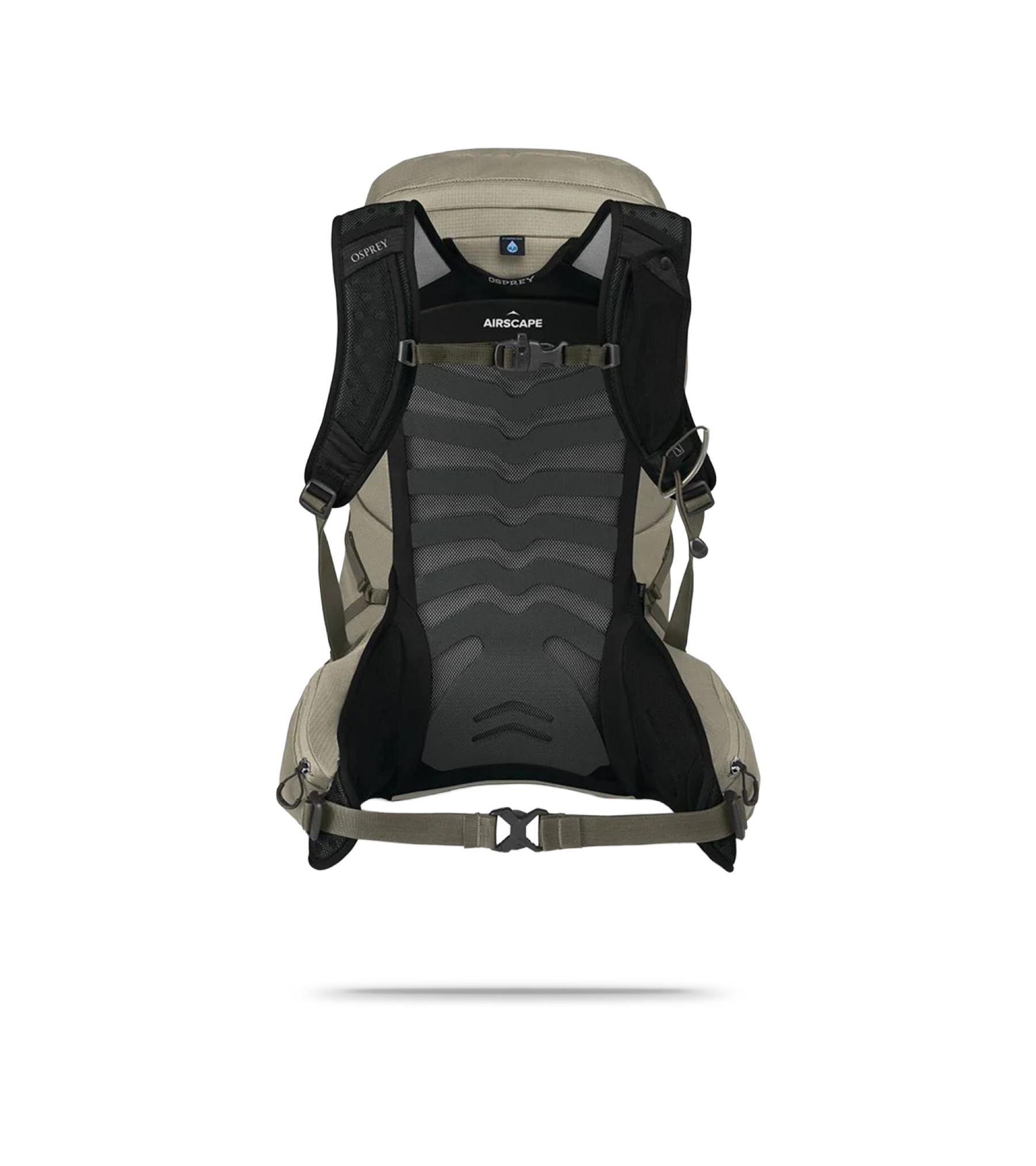 Talon 26 Mountain/Trail Backpack