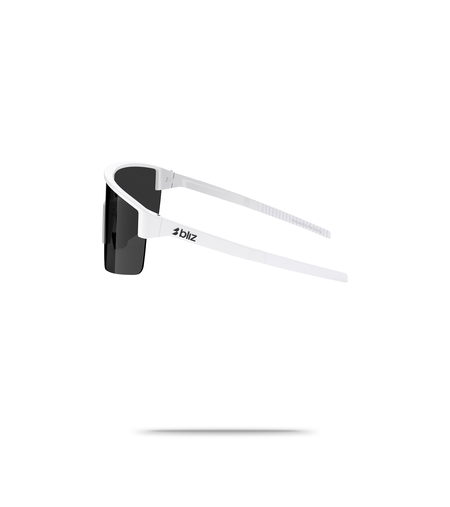 P004S Sunglasses