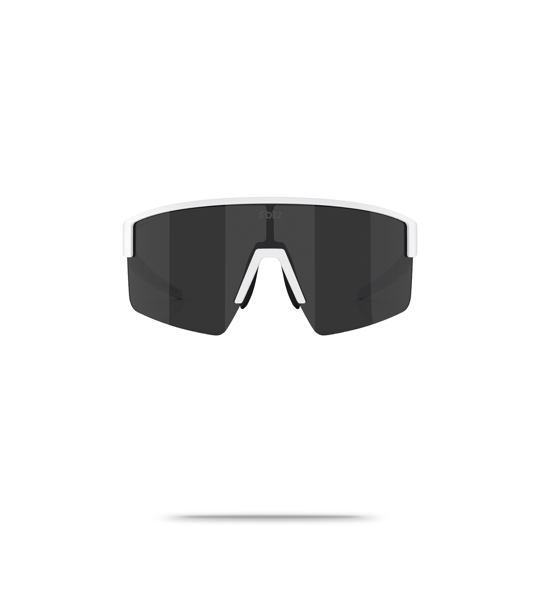 P004S Sunglasses