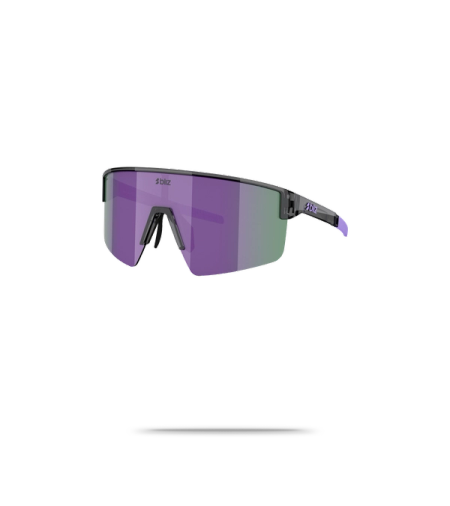 P004S Sunglasses