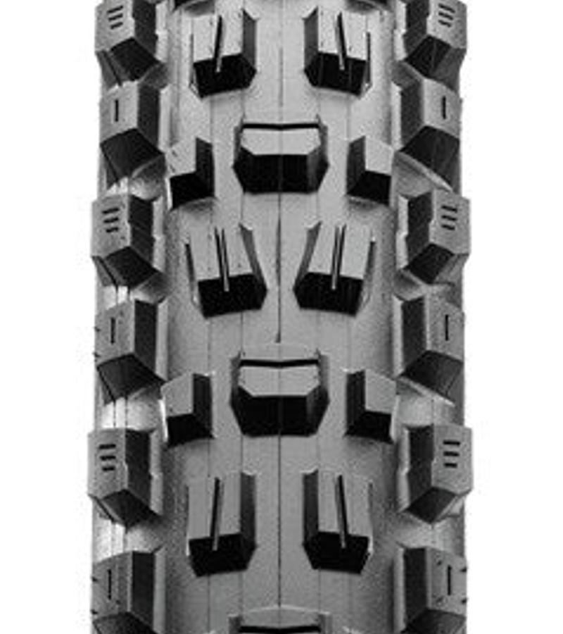 Assegai 3C MaxxTerra EXO+ TR MTB Tyre