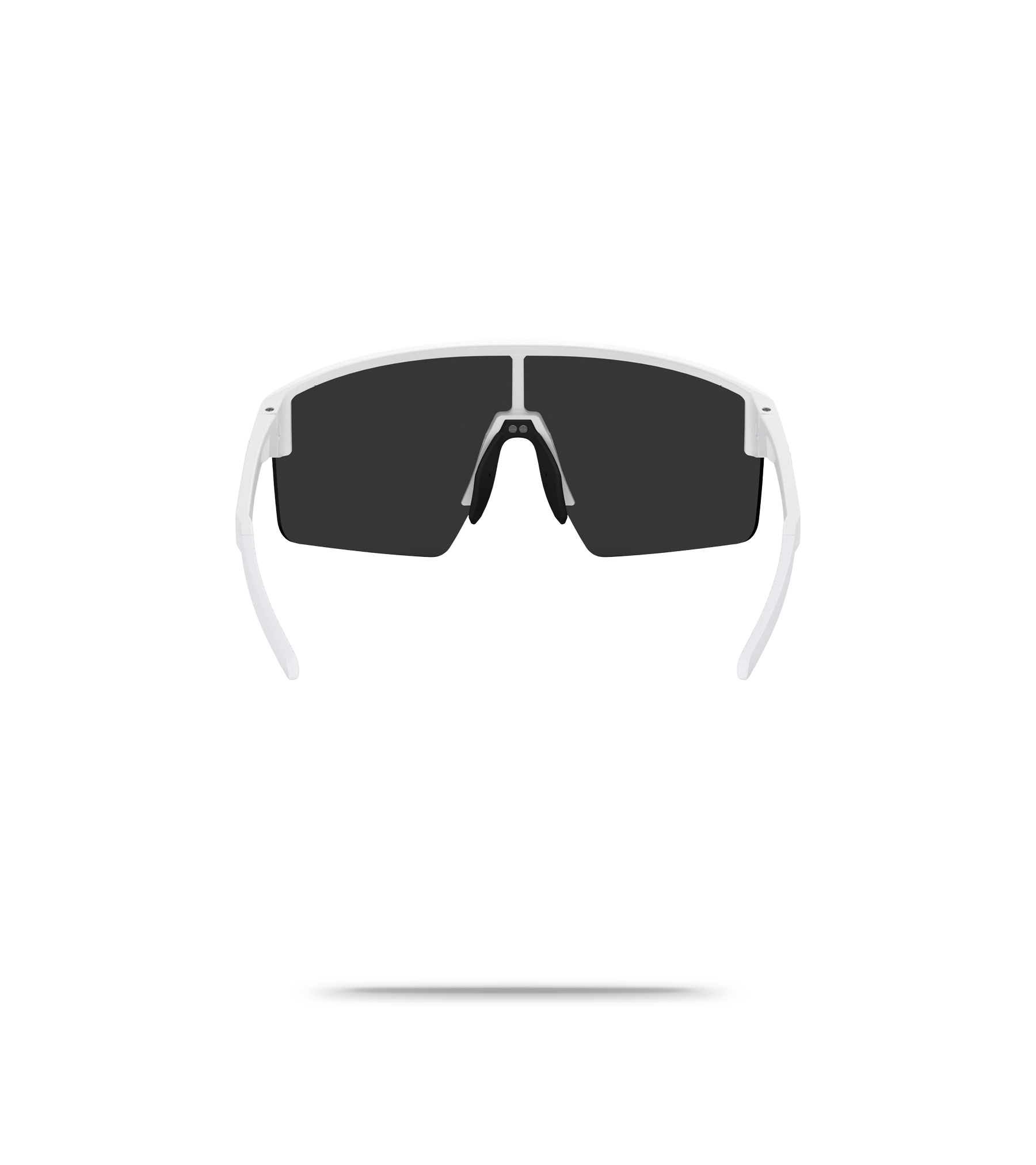 P004S Sunglasses