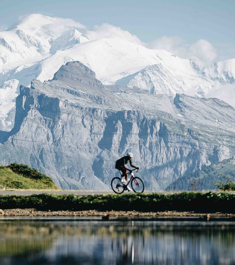 Best Endurance Road Bikes 2026