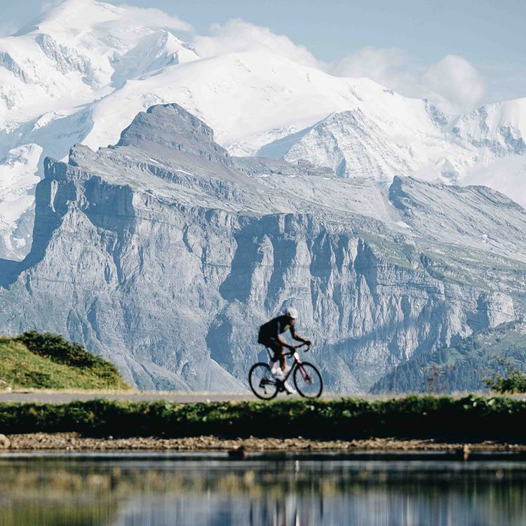 Best Endurance Road Bikes 2026