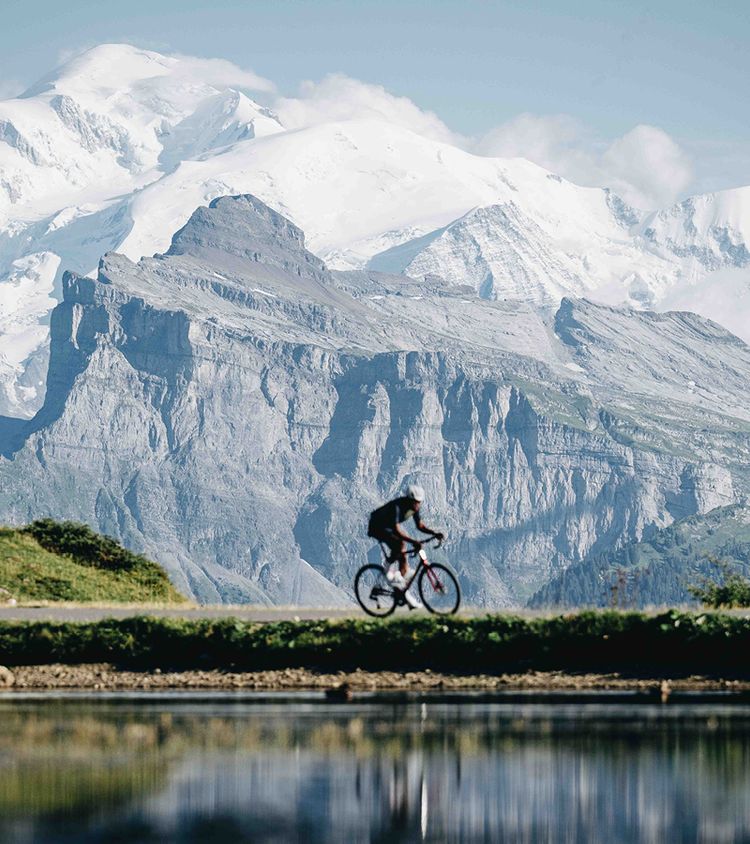 Best Endurance Road Bikes 2026