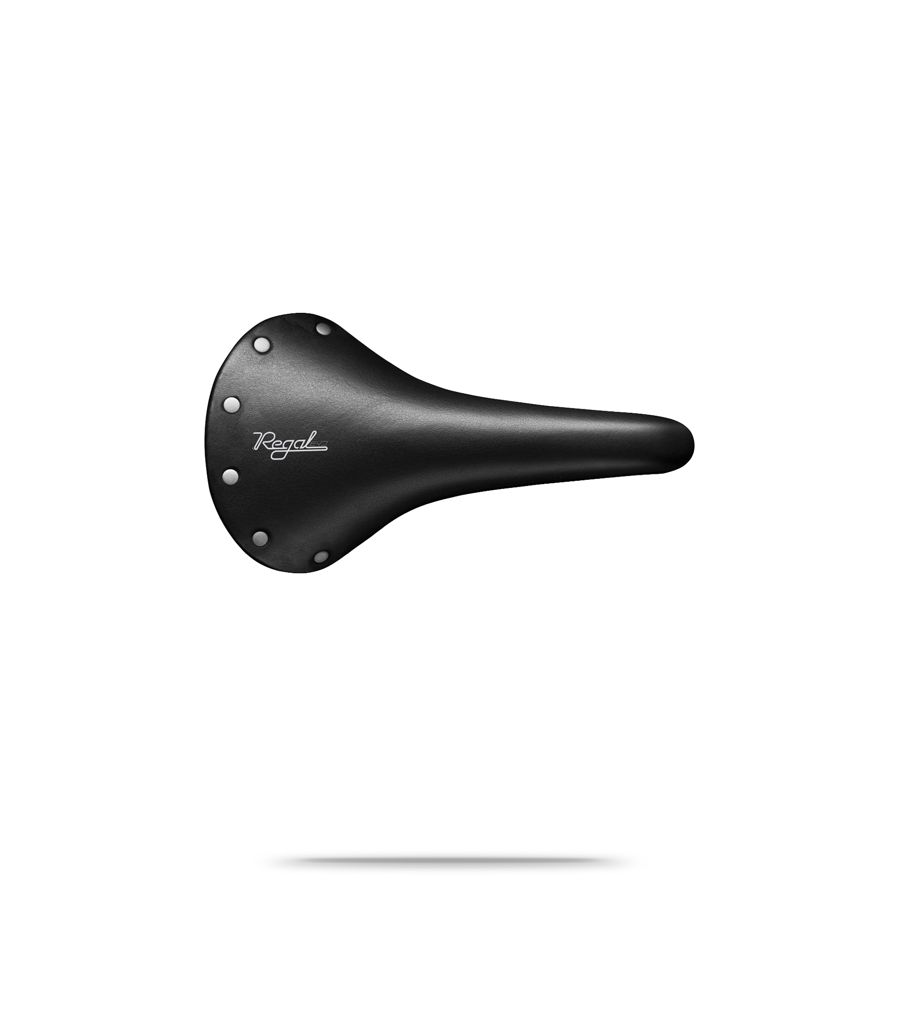 Regal Evo Saddle