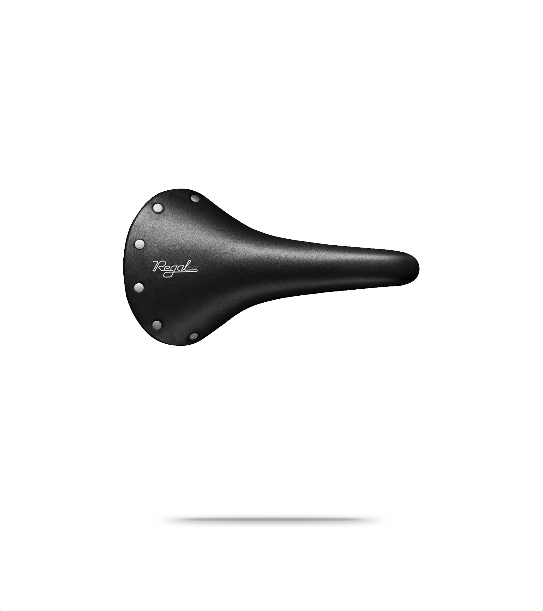 Regal Evo Saddle